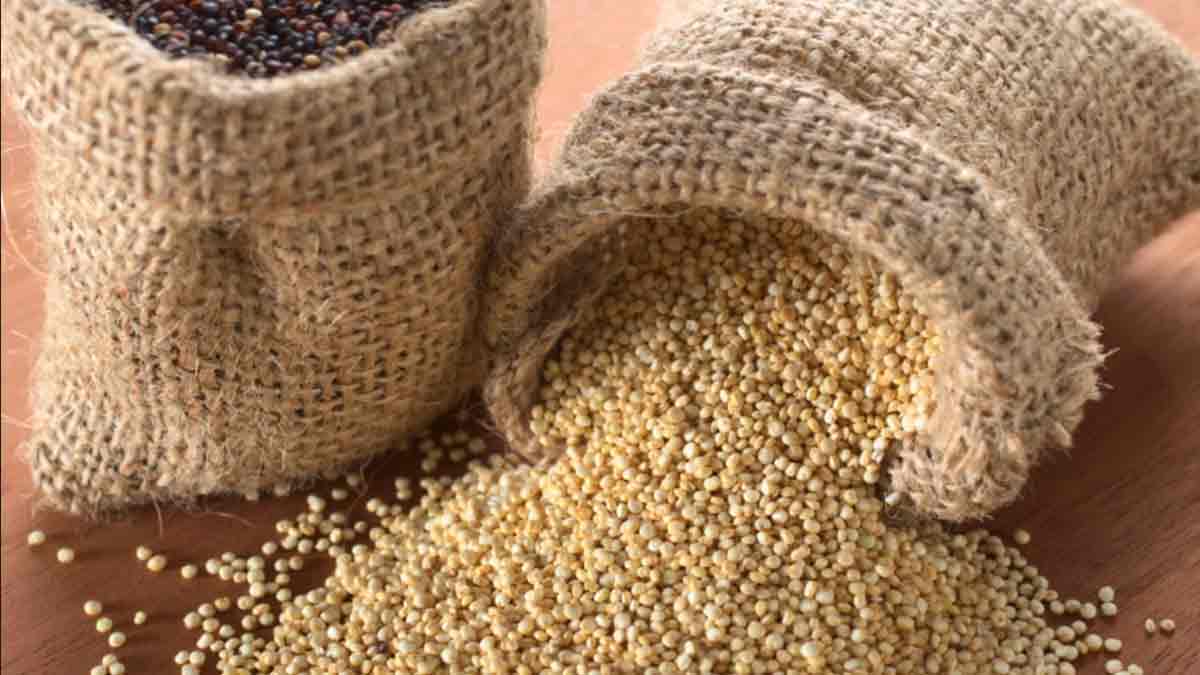 ¿Cómo se cocina la Quinua o Quinoa?