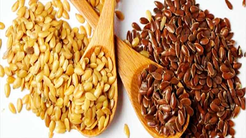 Semillas de Lino – Propiedades nutricionales, beneficios y contraindicaciones