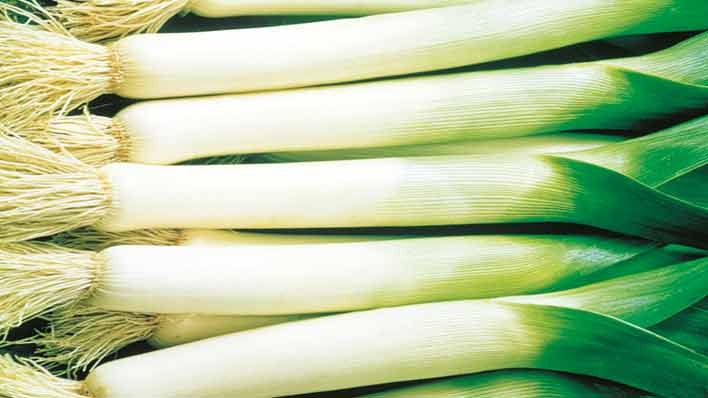 Propiedades y beneficios de los Ajos Puerros